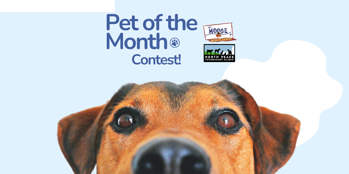 Pet of the Month | September 2023